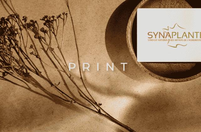 image mise en avant pour la création de l’identité de la marque Synaplante par Laurent Agier, agence de communication sur Toulon.